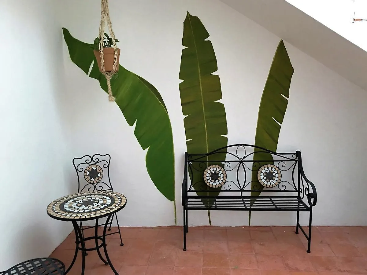 ***  Villa Alejandra Hotel Boutique Playa del Carmen Mexico